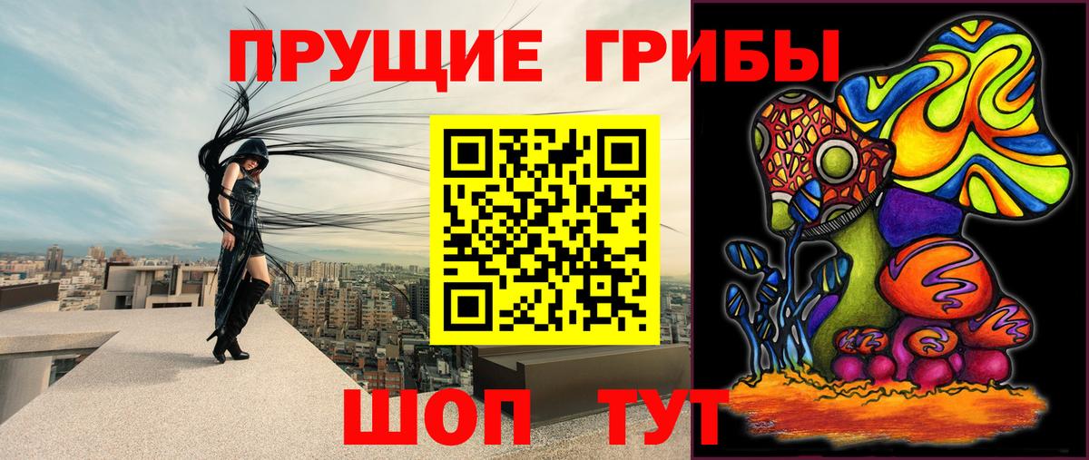 Нерюнгри  Галлюциногенные грибы Psilocybe  Вход с VPN  Галлюциногенные грибы мухоморы 