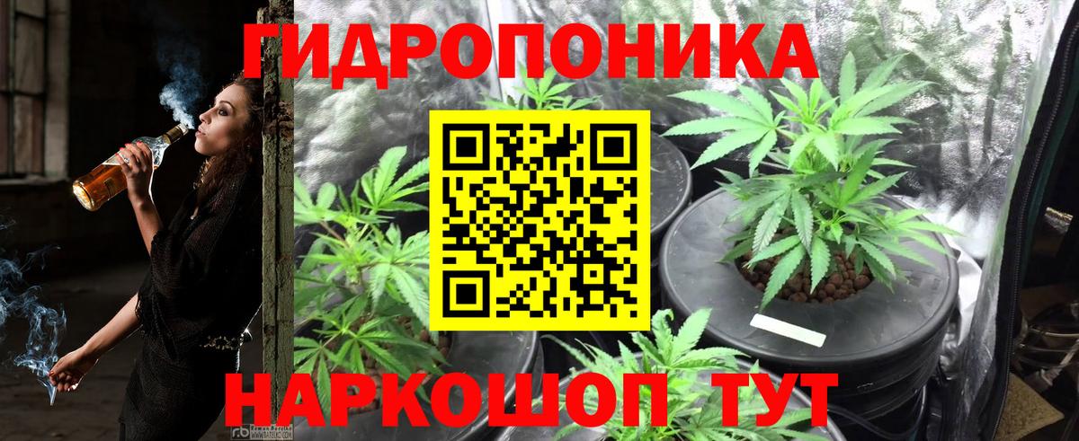 Канабис сатива  МАРИХУАНА план  Нерюнгри  Вход с VPN  МАРИХУАНА AK-47 